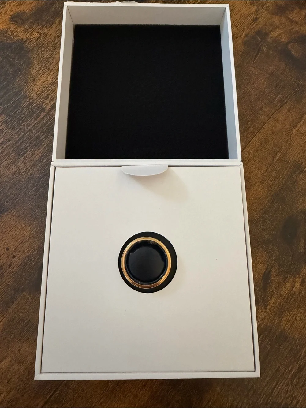 Oura Ring Horizon Size 9 in Rose Gold